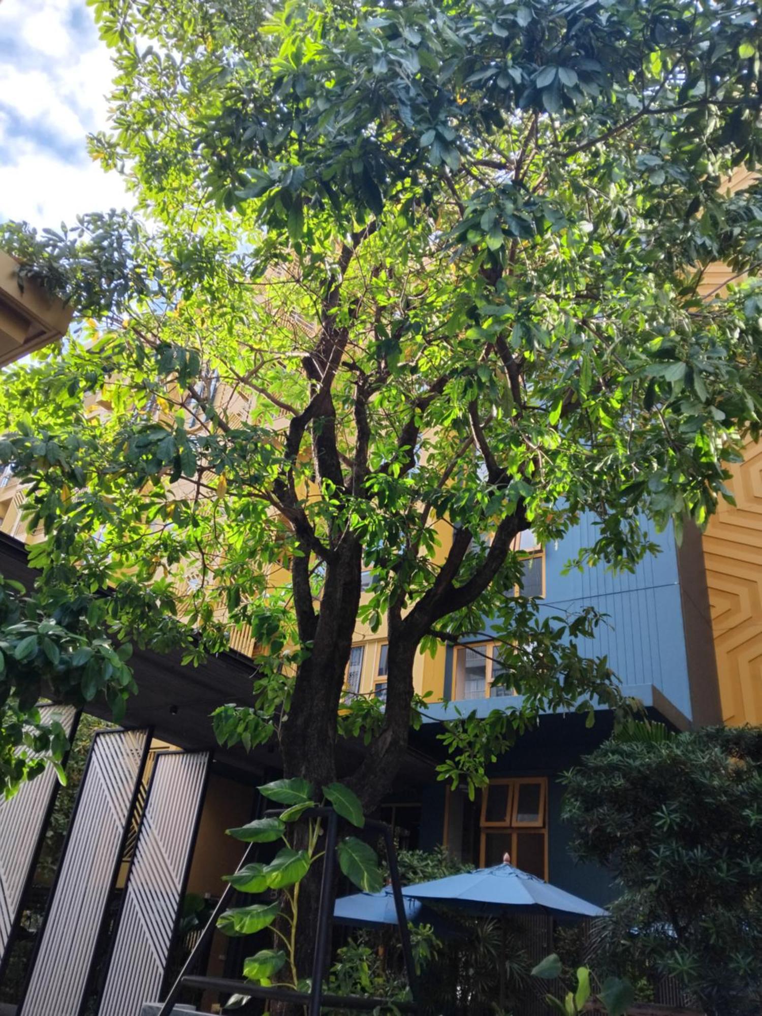 Brissluxe At Bts Onnut Sukumvit 50 Apartment Bangkok Ngoại thất bức ảnh